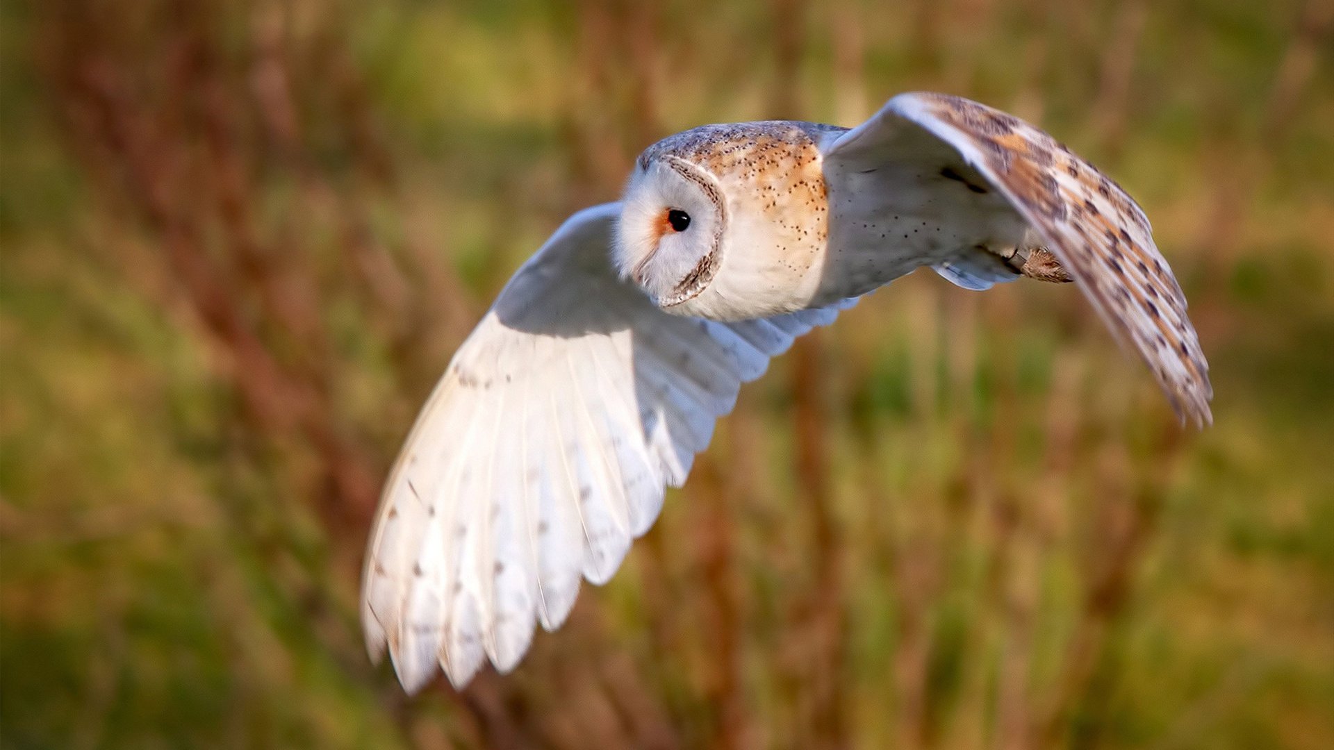 中超球队失误率统计,中超再现2大争议判罚