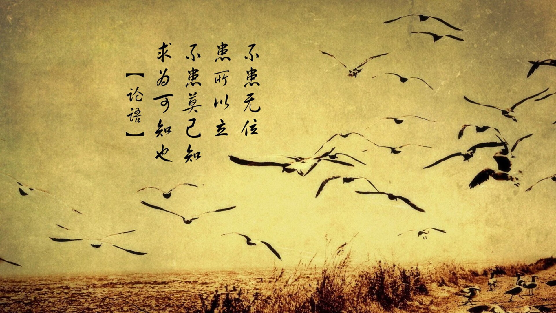 阿莱克西赛后感谢团队支持与鼓励,阿莱克西亚有多强