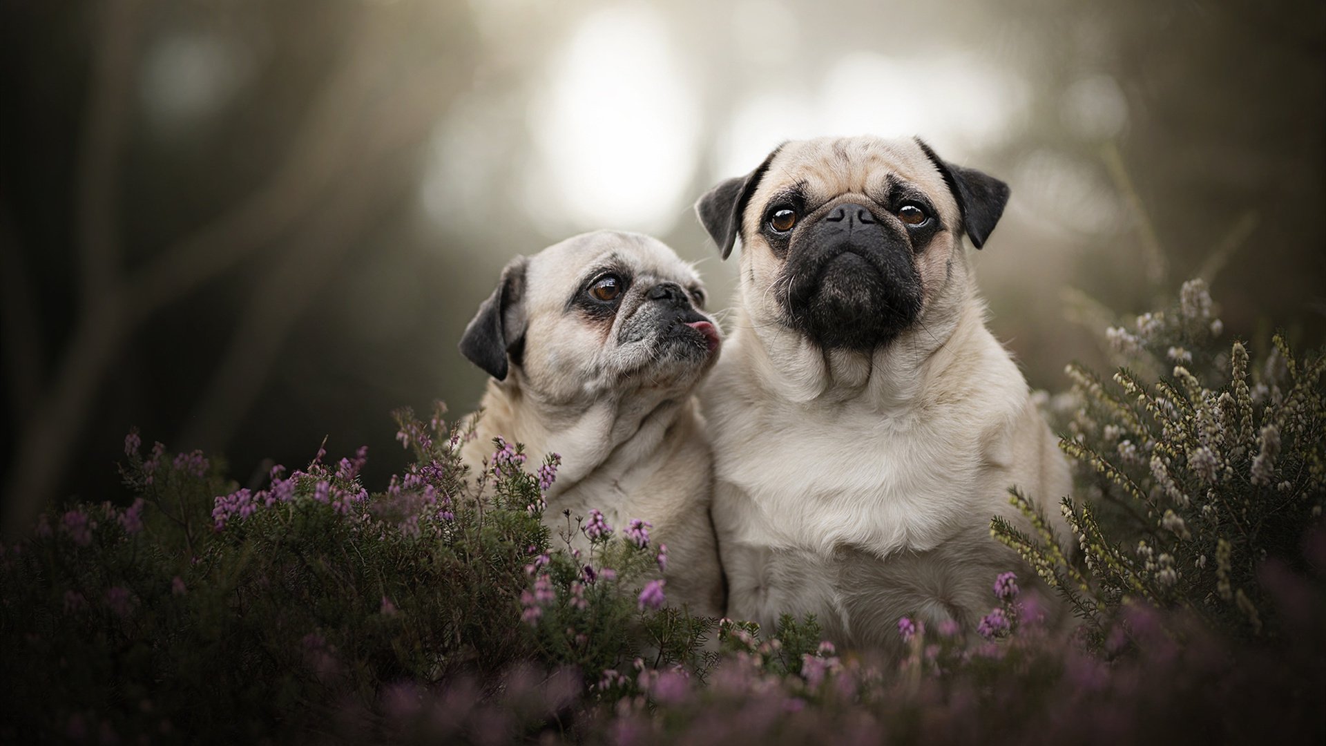 开云体育官网上-从赵继伟的描述看乔帅如何打造团队凝聚力，赵继伟 乔治