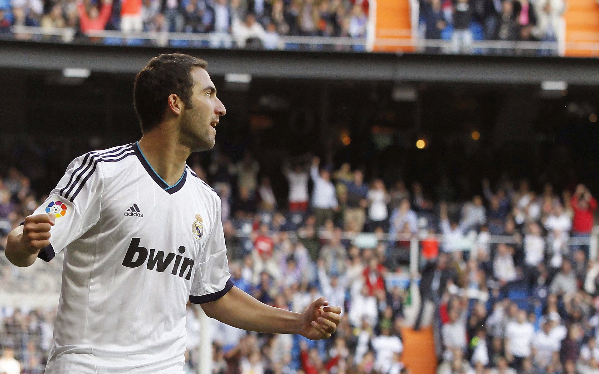 体育投资回报周期模型被纳入城市预算参考，体育投资项目