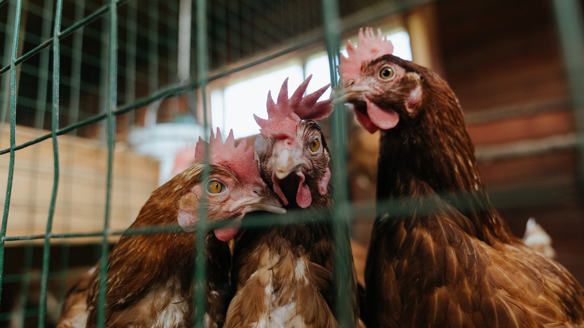 开云app-体育综艺节目上线引发全民健身热情再度高涨，体育的综艺节目