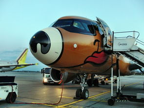 kaiyun开云体育-商务部权威回应：中国是否将恢复购买波音飞机？，中国什么时候停飞波音